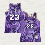 Camiseta Lebron James NO 23 Los Angeles Lakers Throwback Asian Heritage 2018-19 Violeta