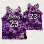 Camiseta Lebron James NO 23 Los Angeles Lakers Galaxy Violeta